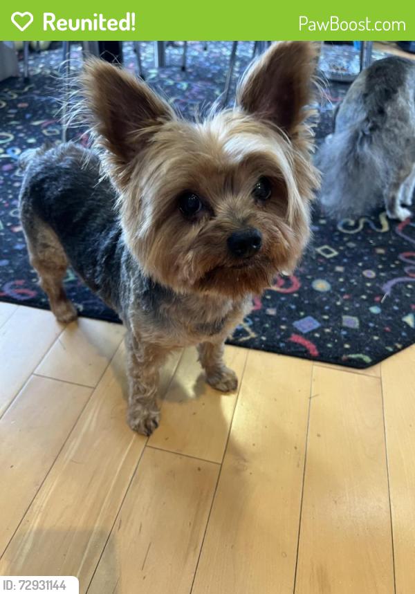 Reunited Male Dog last seen Rivière du Chein, Mobile, AL 36693