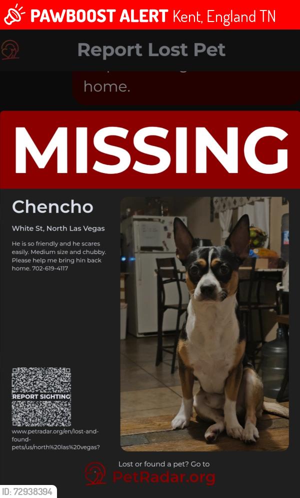 Lost Male Dog last seen Lakemead  blvd and5th st., Kent, England TN23
