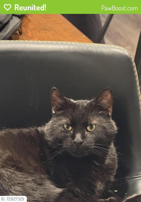 Reunited Male Cat last seen Near the hotel off n Salem, Fayetteville, AR 72704