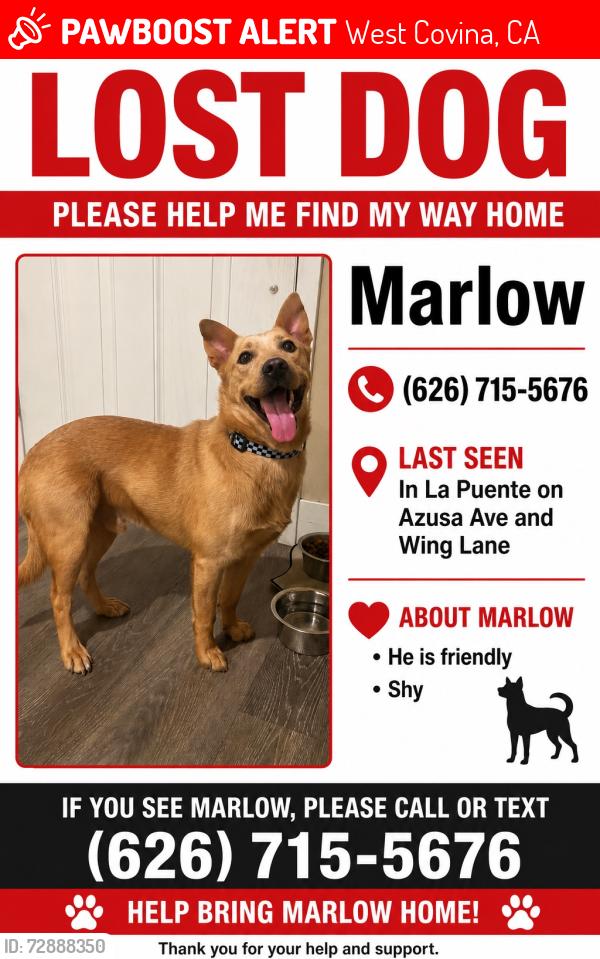 Lost Male Dog last seen Azusa , wing lane , West Covina, CA 91792