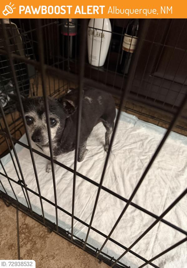 Found/Stray Male Dog last seen Unser and Blake, Albuquerque, NM 87121