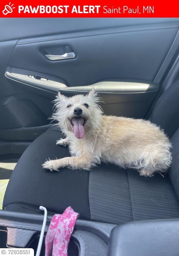 Lost Unknown Dog last seen Cop shop, Saint Paul, MN 55101