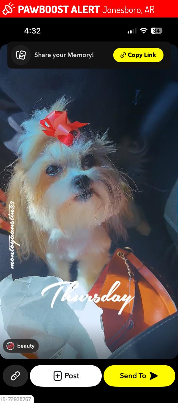 Lost Female Dog last seen Floyd st Jonesboro Arkansas , Jonesboro, AR 72401