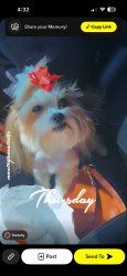 Lost Female Dog last seen Floyd st Jonesboro Arkansas , Jonesboro, AR 72401