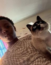 Lost Female Cat last seen Markison, Columbus, OH 43207