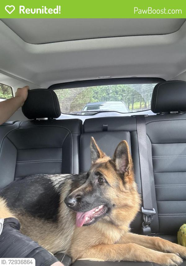 Reunited Female Dog last seen Near Acworth Due West Rd , Kennesaw, GA 30152