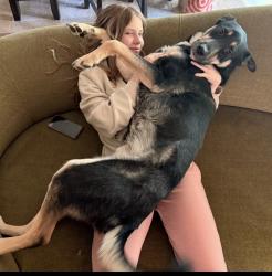 Reunited Male Dog last seen Pineview and 15th Avenue, Plymouth, MN 55441