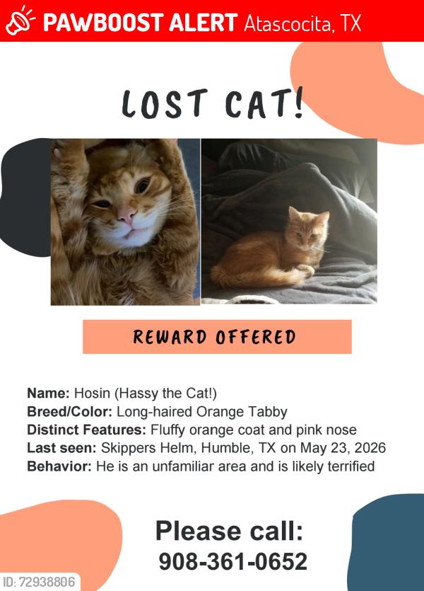 Lost Male Cat last seen Skippers Helm, Atascocita, TX 77346