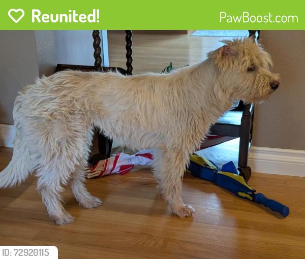 Reunited Male Dog last seen Near SW Orchid Street , Portland, OR 97219