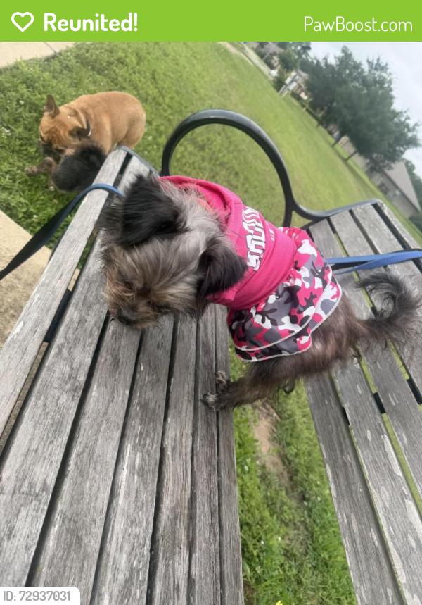 Reunited Female Dog last seen vernal glen cir, Harris County, TX 77388
