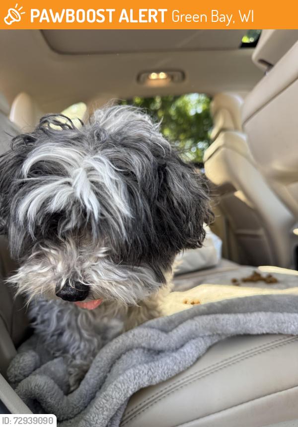 Found/Stray Male Dog last seen Mather St & Platten, Green Bay, WI 54303