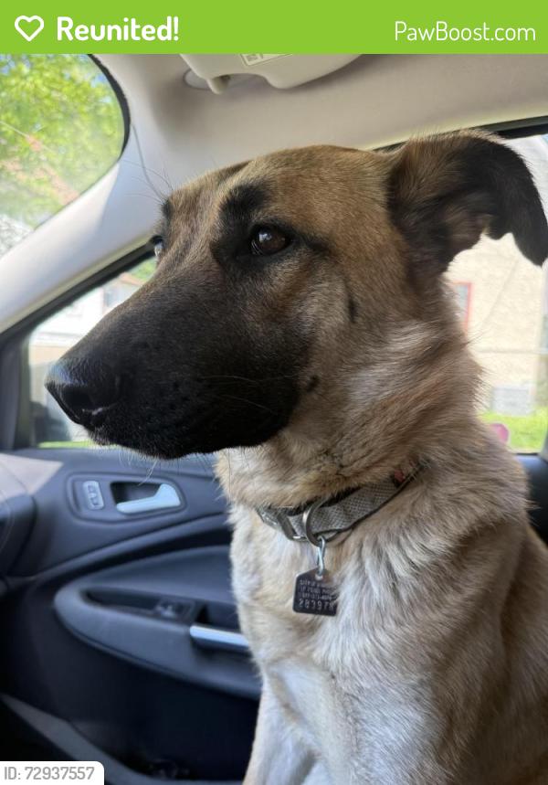 Reunited Unknown Dog last seen Sinclair, Winnipeg, MB 