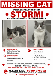 Lost Female Cat last seen William Macleod way, Tebourba way, Romsey Road, millbrook , Southampton, England SO16 4HD