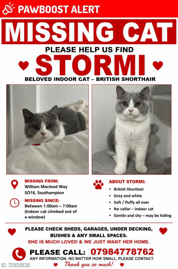 Lost Female Cat last seen William Macleod way, Tebourba way, Romsey Road, millbrook , Southampton, England SO16 4HD