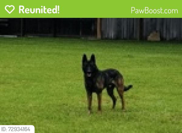 Reunited Male Dog last seen Greenhouse , Houston, TX 77084