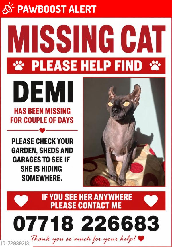 Lost Female Cat last seen PO6 3QG , Portsmouth, England PO6 3QG