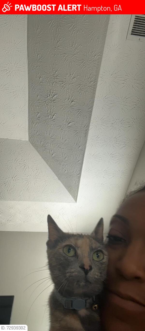 Found/Stray Female Cat last seen Graystone Dr. N.Hampton Dr, Steele Rd, Amah Lee Rd, Hampton, GA 30228