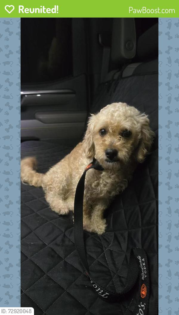 Reunited Female Dog last seen Katy Lake ests Subdivision, Harris County, TX 77493