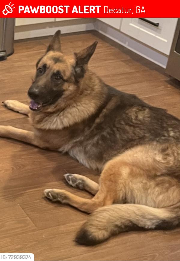 Lost Male Dog last seen Kelly Chapel, Decatur, GA 30030