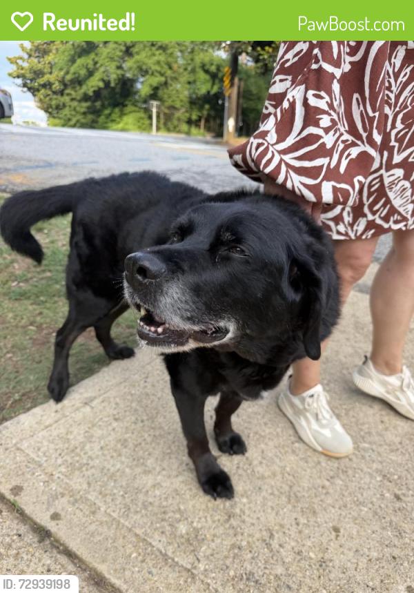 Reunited Unknown Dog last seen Augusta Street, Greenville, SC 29605