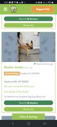 Reunited Female Dog last seen Near s. 75 w., Murray, UT 84107