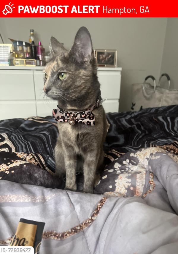 Lost Female Cat last seen Graystone dr, N. Hampton dr, Steele Dr, Amah Lee Rd, Hampton, GA 30228