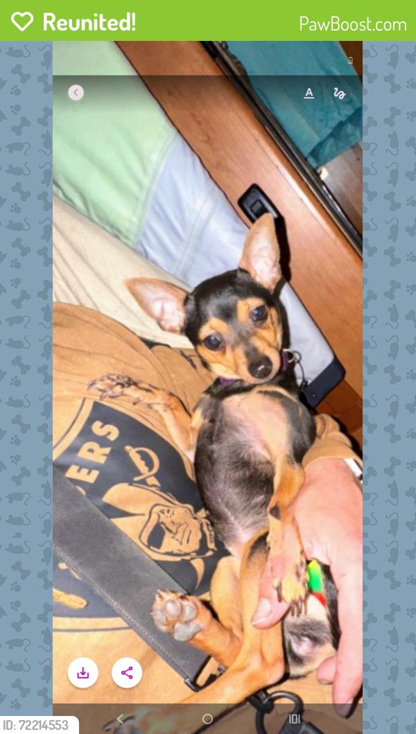 Reunited Female Dog last seen FoodMa on 29th Ave., Oakland, CA 94601