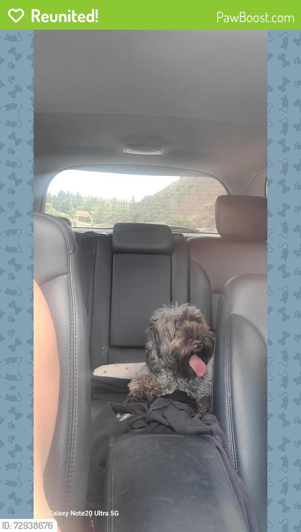 Reunited Unknown Dog last seen Espola and Florencia , Poway, CA 92064
