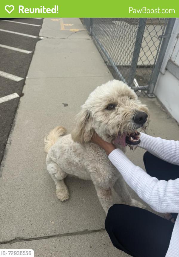 Reunited Male Dog last seen Orosi, CA 93647, USA, Orosi, CA 93647