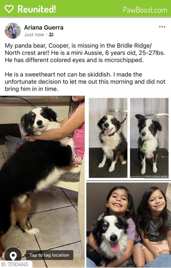 Reunited Male Dog last seen Bridle Ridge/Northcrest, Victoria, TX 77904