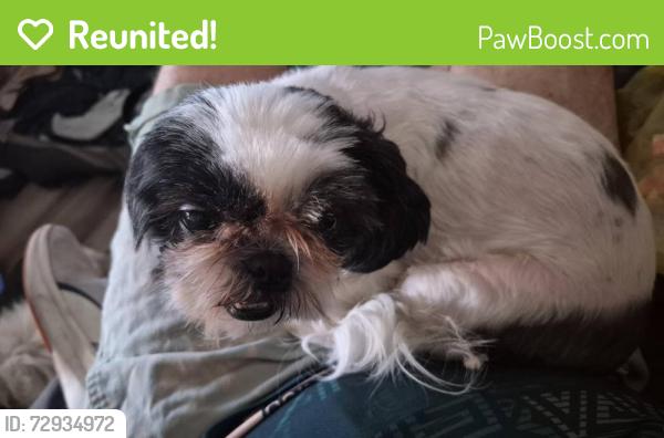 Reunited Female Dog last seen Devonshire and Palm, Hemet, CA 92543