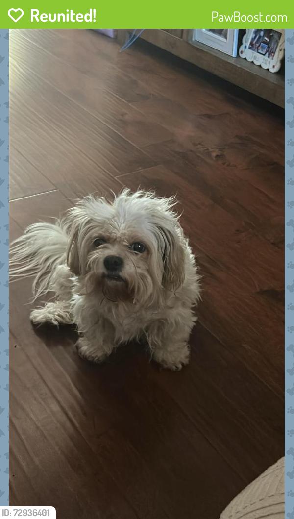 Reunited Female Dog last seen 1222fairdale st, Irving, TX 75062