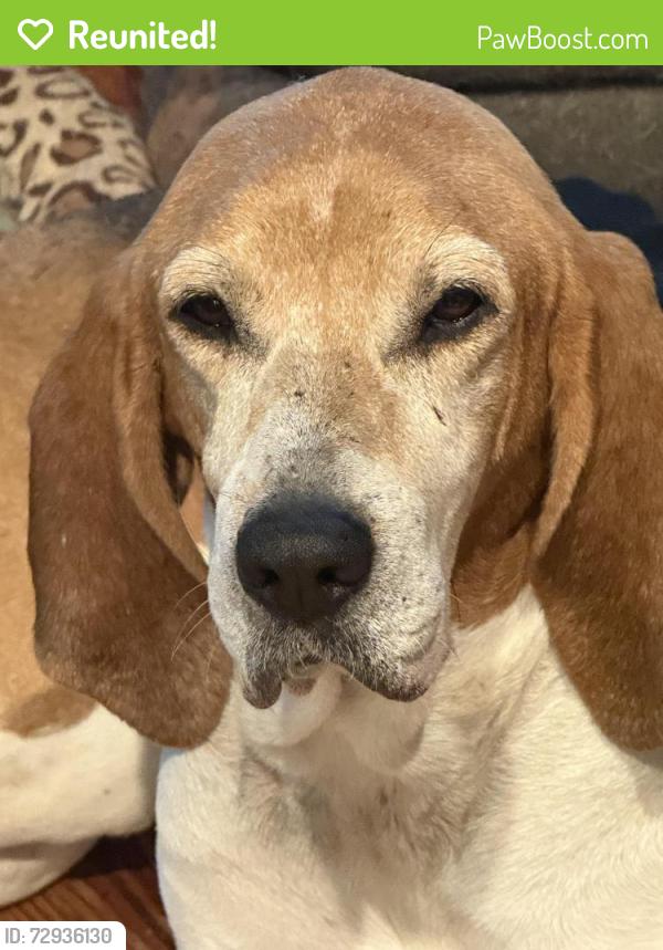 Reunited Female Dog last seen Haw Branch Rd and hwy 42, Beulaville, NC 28518