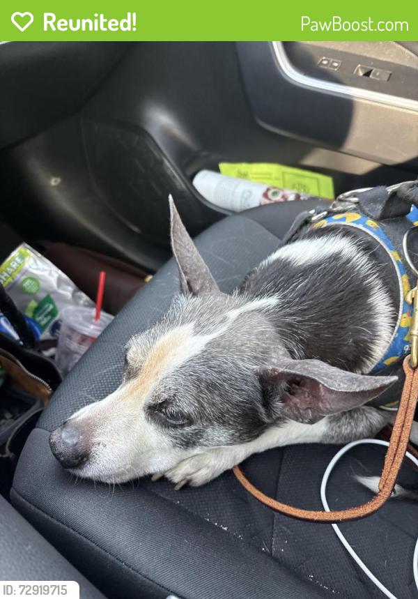 Reunited Male Dog last seen Monticello Rd, Weaverville, NC 28787