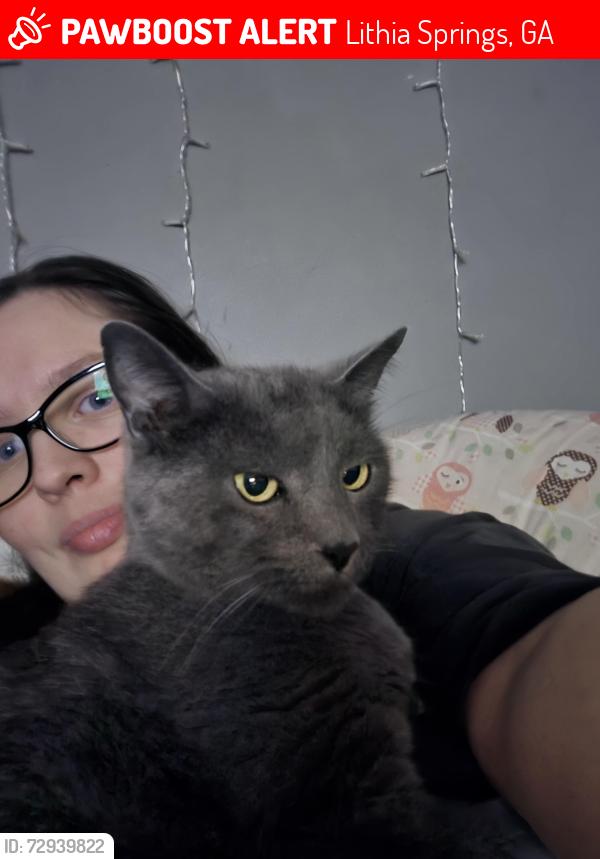 Lost Male Cat last seen Mall, Lithia Springs, GA 30122