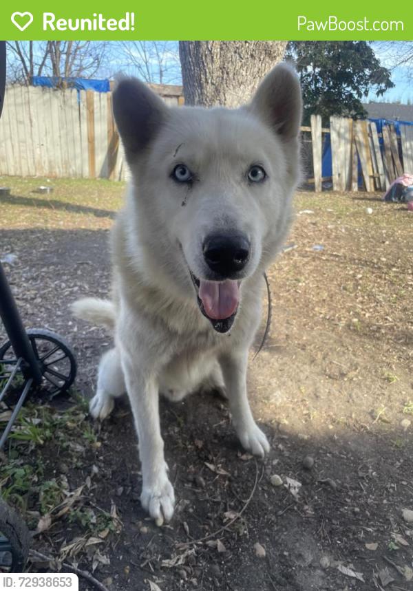 Reunited Male Dog last seen Glen vista dr, San Antonio, TX 78239