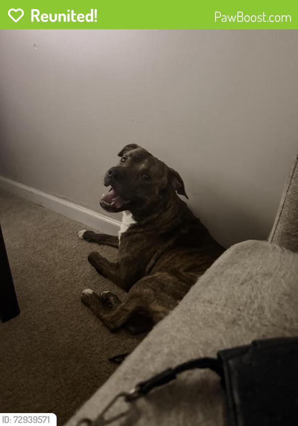 Reunited Male Dog last seen     State Route 85, Riverdale, GA 30274