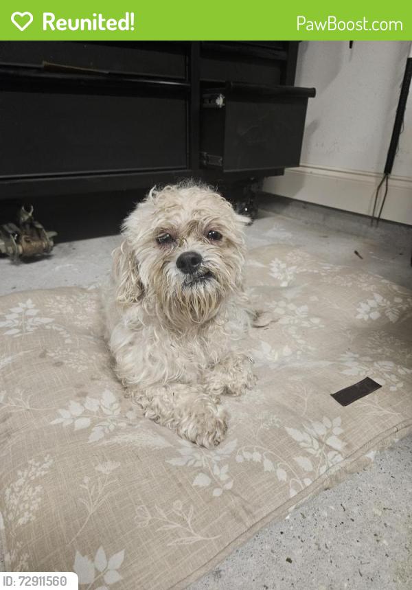 Reunited Male Dog last seen Joshua Loop  pearl river, St. Tammany Parish, LA 70452