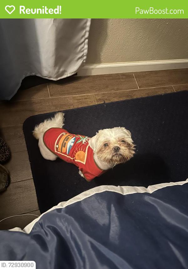 Reunited Male Dog last seen Geneva Ln Plano ,Texa, Plano, TX 75075