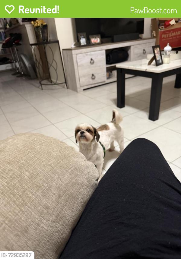 Reunited Female Dog last seen Lower arrow dr, Houston, TX 77086