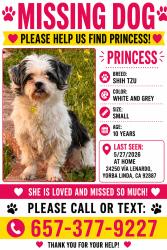 Lost Female Dog last seen Via leonardo, Yorba Linda, CA 92887