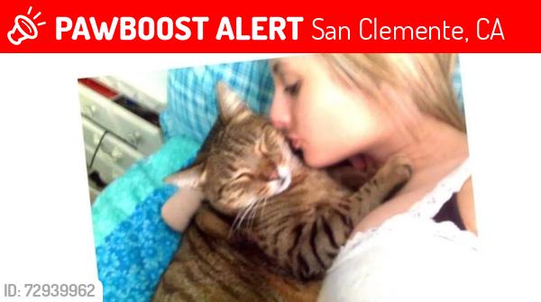 Lost Male Cat last seen Monterey and Calle Real, San Clemente, CA 92673