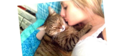Lost Male Cat last seen Monterey and Calle Real, San Clemente, CA 92673