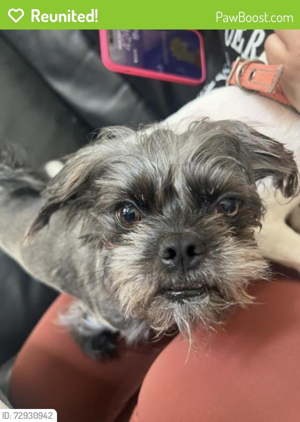 Reunited Male Dog last seen Providence Blvd , Providence Village, TX 76227