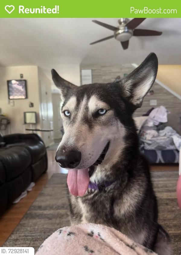 Reunited Male Dog last seen Near Timber Breeze St, San Antonio, TX 78250, USA, San Antonio, TX 78250