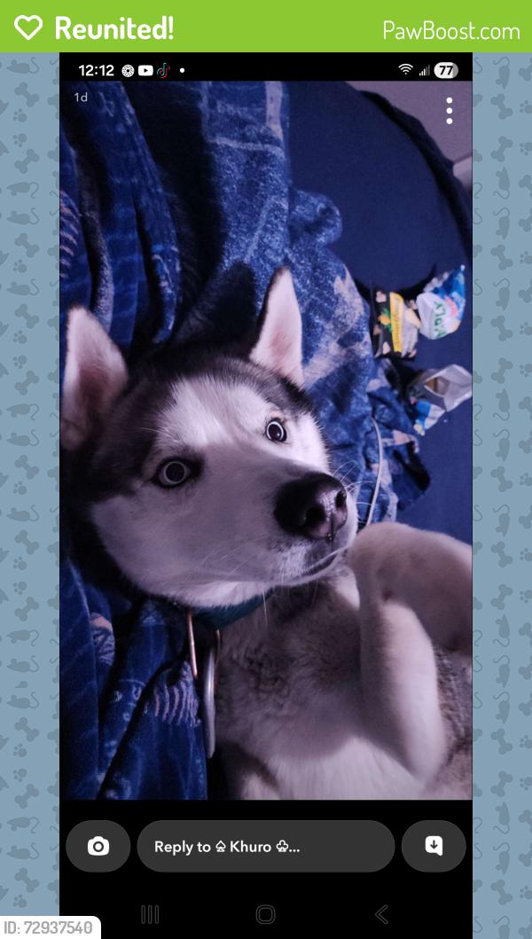 Reunited Male Dog last seen Doral dr, Doraville, GA 30360