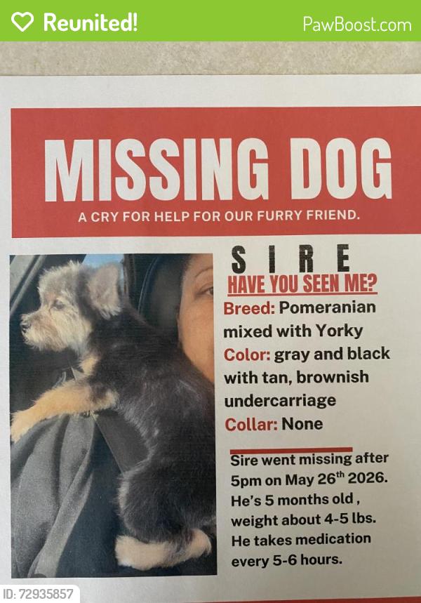 Reunited Male Dog last seen Silverado Ranch and Maryland PKWY, Paradise, NV 89123