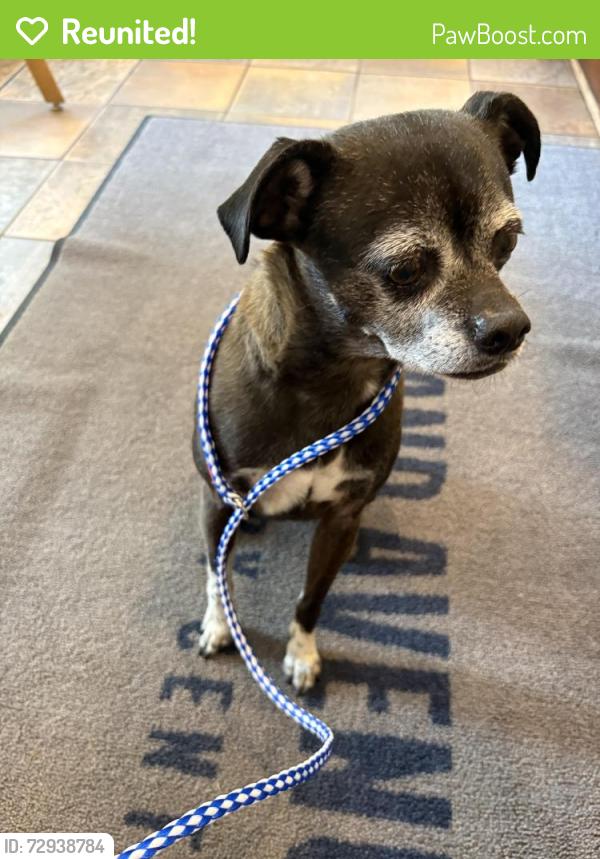 Reunited Male Dog last seen Near pleasant ave st paul, Saint Paul, MN 55102