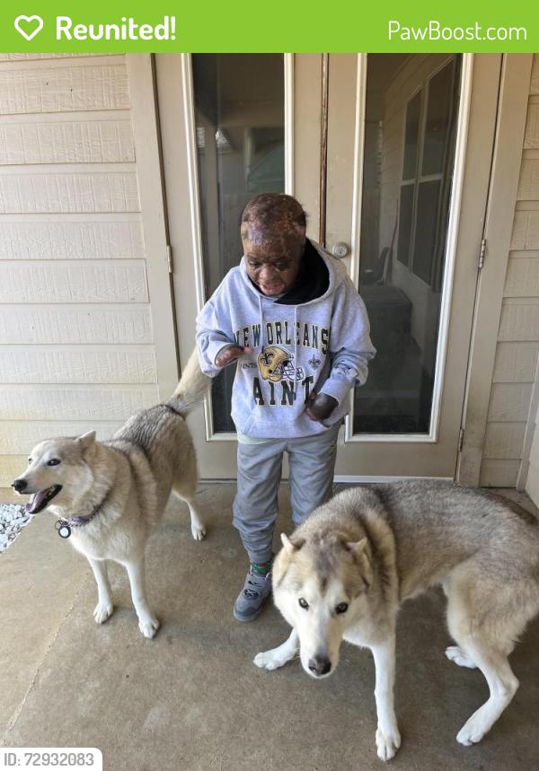 Reunited Female Dog last seen Near viewpoint lane burleson , Burleson, TX 76028
