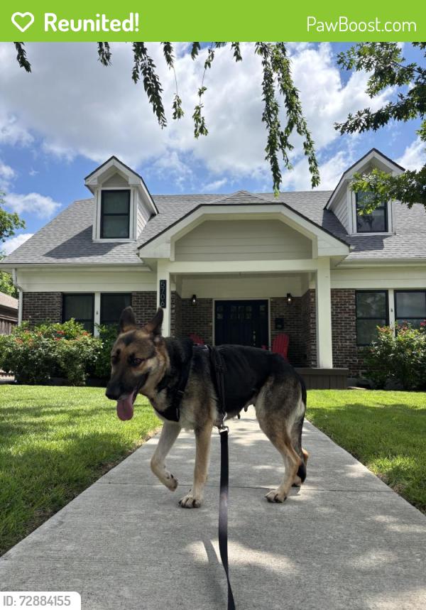 Reunited Female Dog last seen Greenville Ave and Monticello Ave, Dallas, TX 75206
